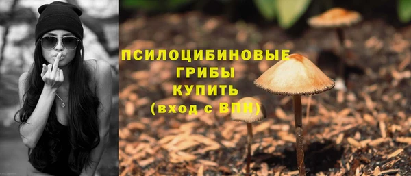 ECSTASY Алексин
