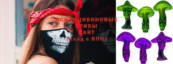 СК Абаза