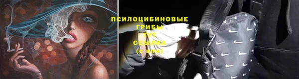 ECSTASY Алексин