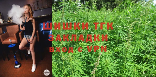 spice Алзамай