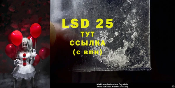 spice Алзамай