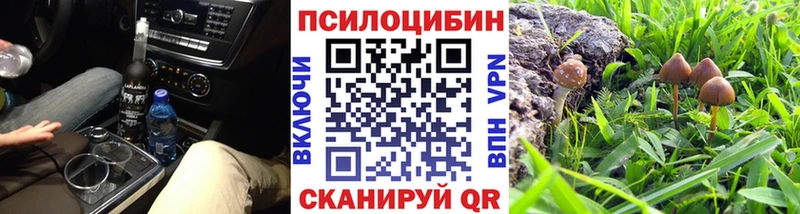 Галлюциногенные грибы прущие грибы  Бобров 